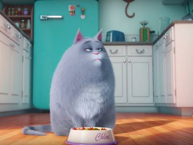 ������� ����� �������� ���������: ����� �������