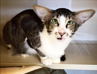 ��������� ���-������ �� ��������� �����